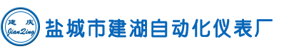 盐城市建湖自动化仪表厂盐城市建湖自动化仪表厂